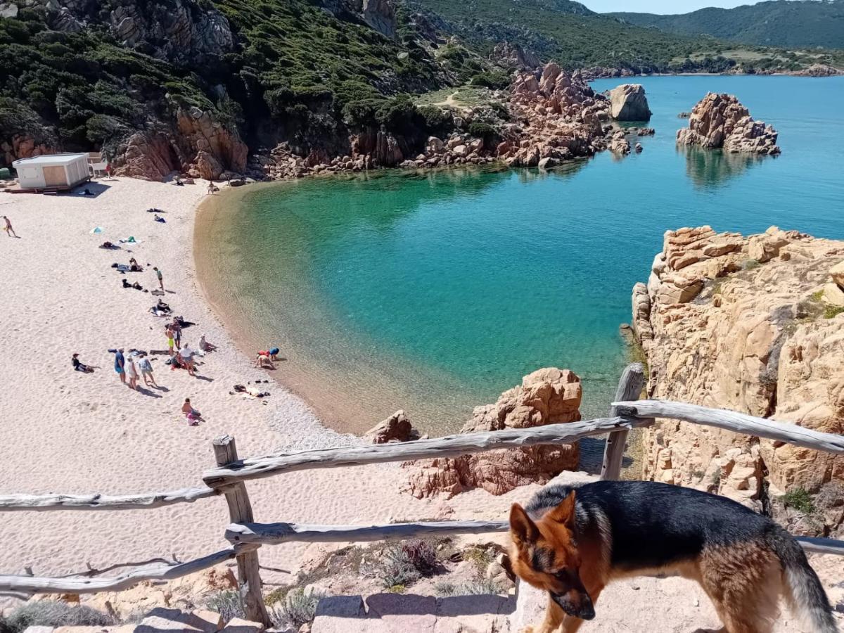 Villetta Monica Costa Paradiso Eksteriør billede